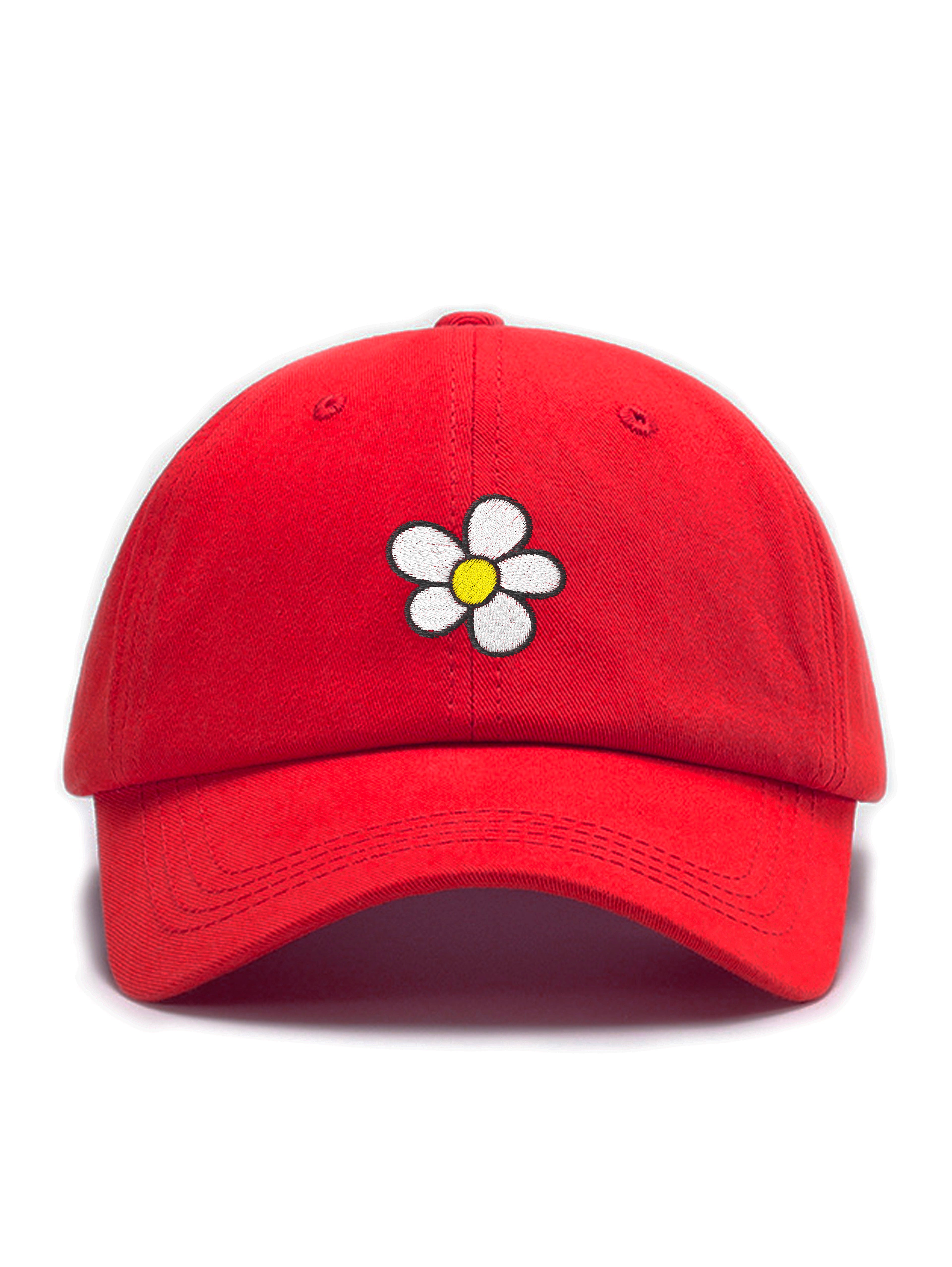 DAISY