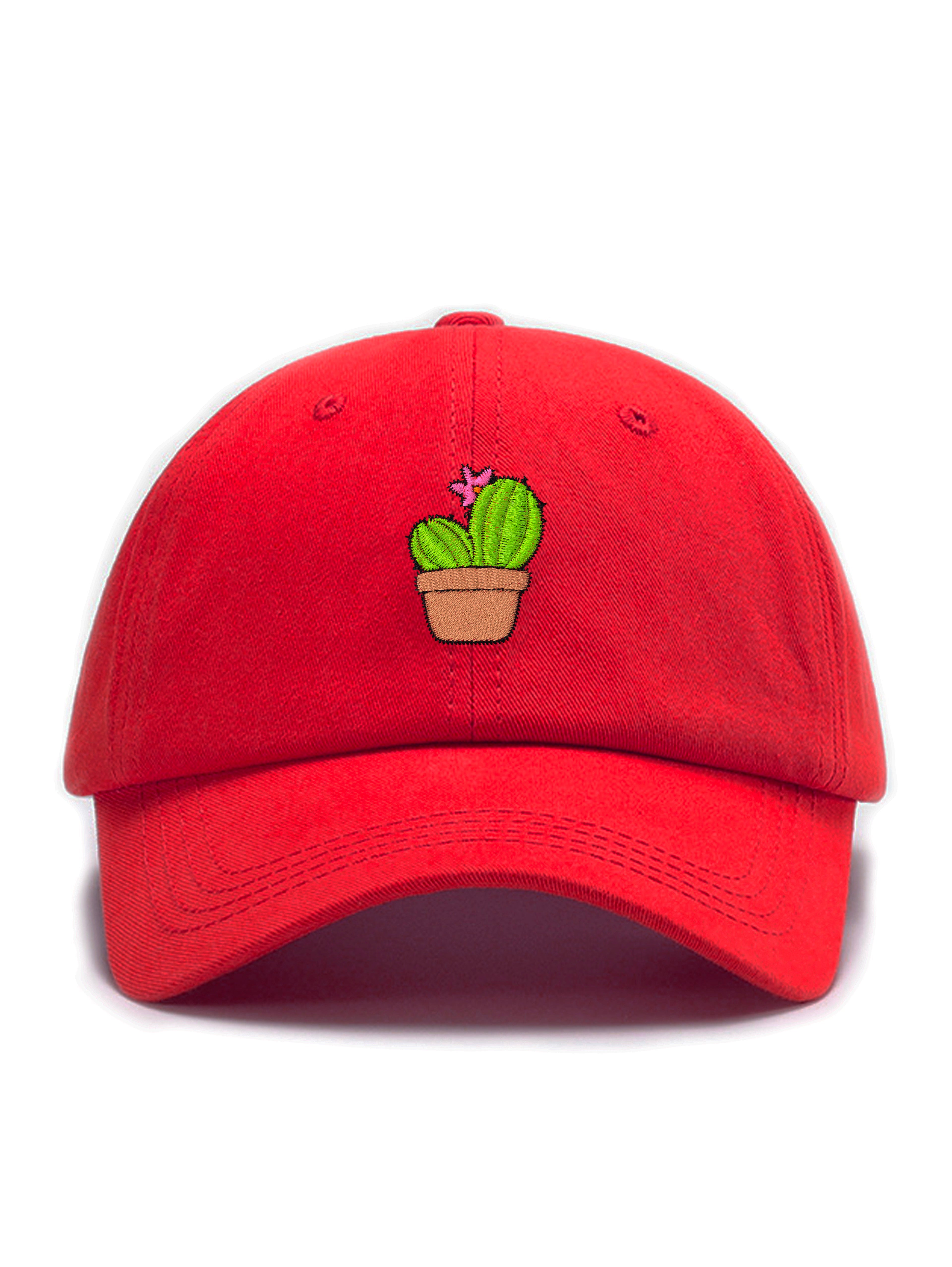 KAKTUS
